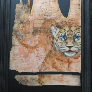 The Leopard