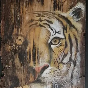 Tiger, Tiger.